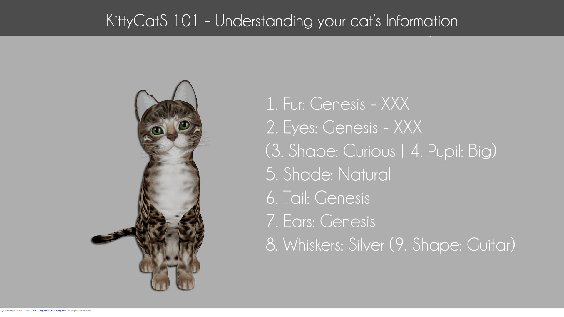 Getting Started With KittyCatS